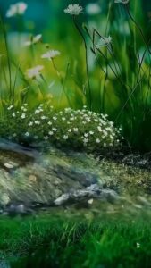 Релакс видео для души Потоки воды