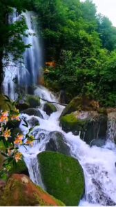 Релакс видео для души Природа летом