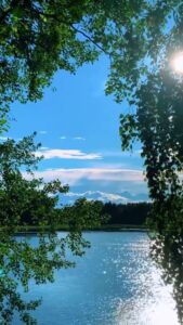 Природа релакс видео Отдых у реки