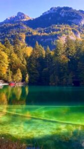 Релакс видео Природа Осенью